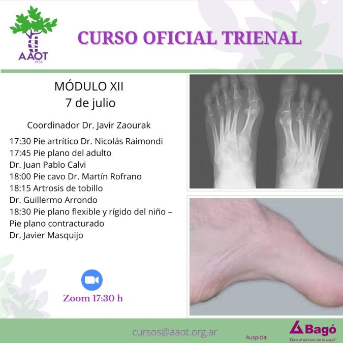 MÓDULO XII – 07/07/22