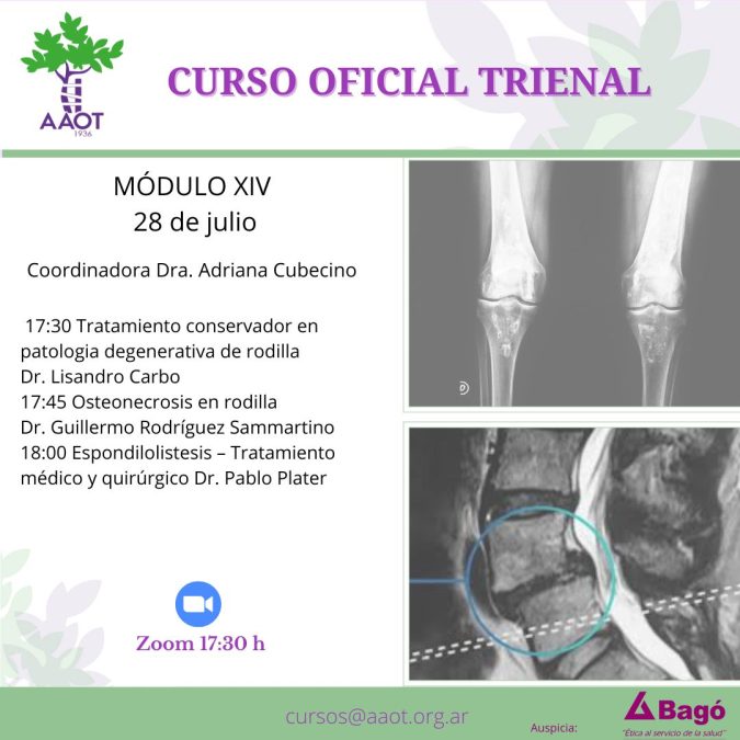 MÓDULO XIV – 28/07/22