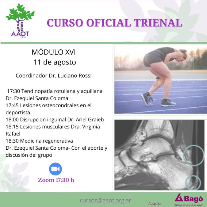 MÓDULO XVI – 11/08/22
