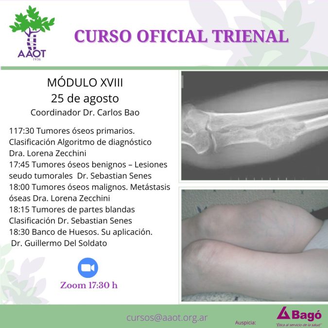 MÓDULO XVIII – 25/08/22