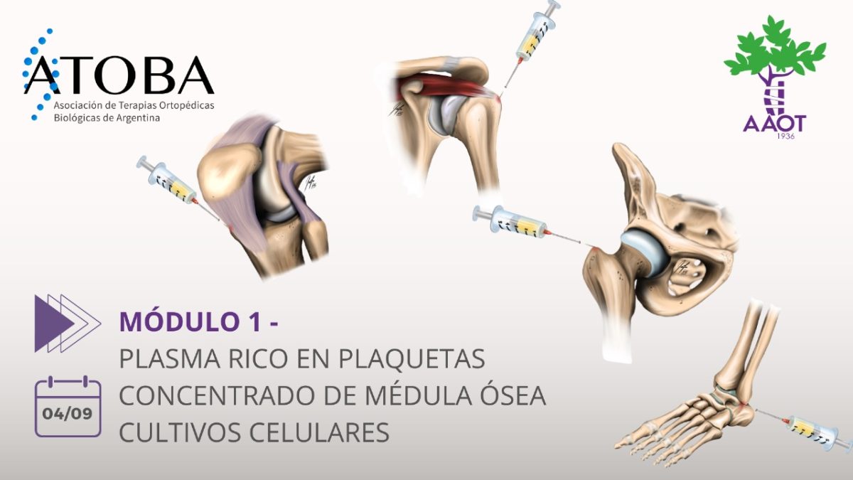 MÓDULO 1 – 04/09/23