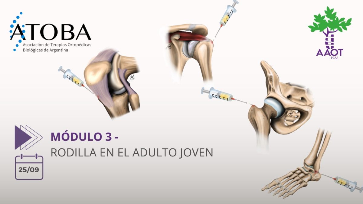 MÓDULO 3 – 25/09/23