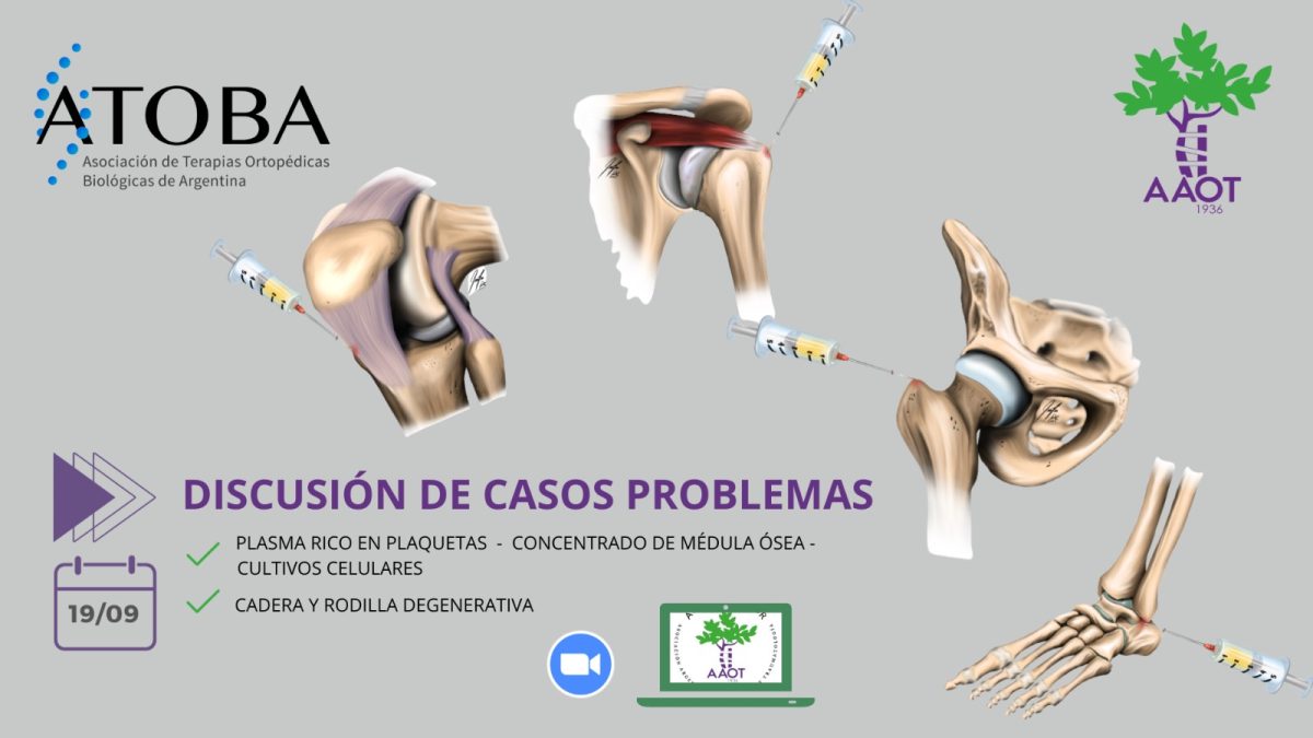 DISCUSIÓN CASOS PROBLEMA NRO. 1 – 19/09/23