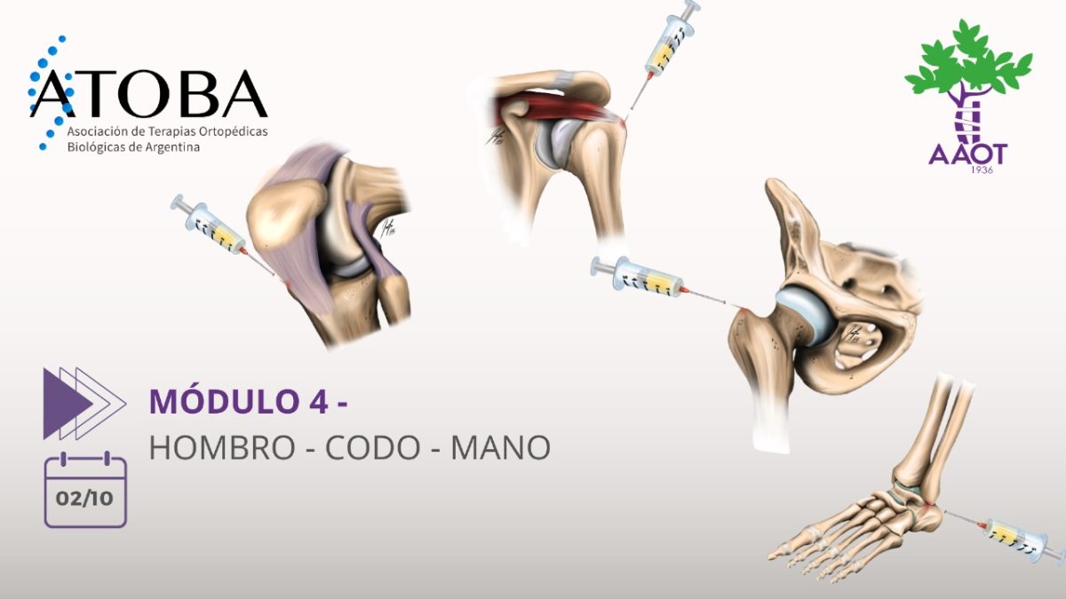 MÓDULO 4 –  02/10/23