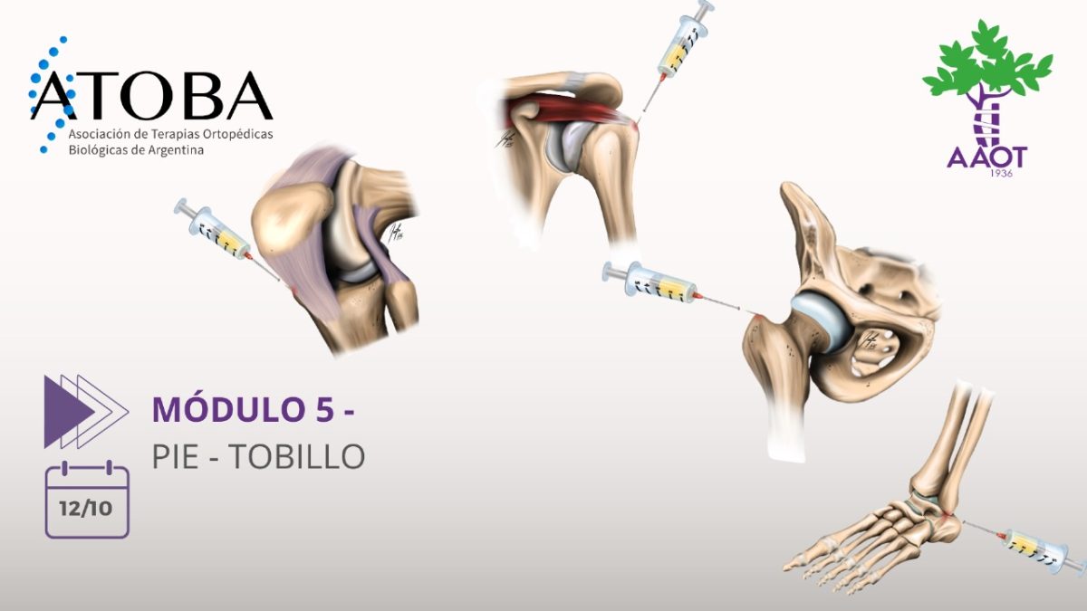 MÓDULO 5 – 12/10/23