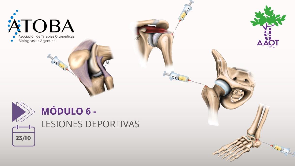 MÓDULO 6 – 23/10/23
