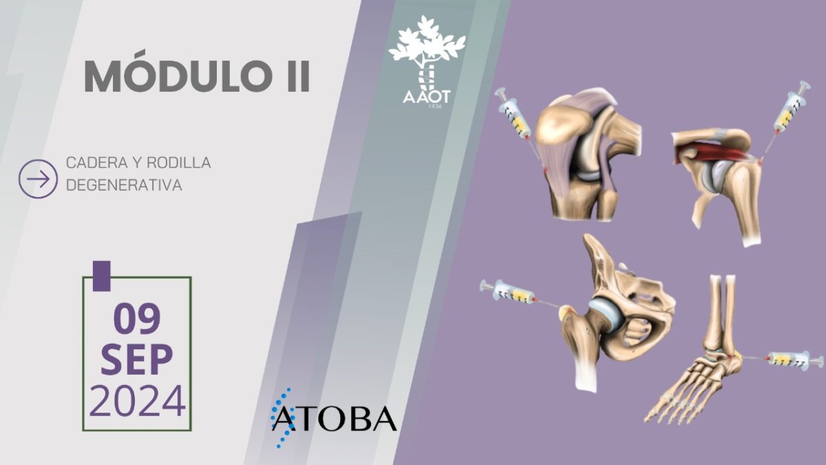 MÓDULO 2 – 09/09/24