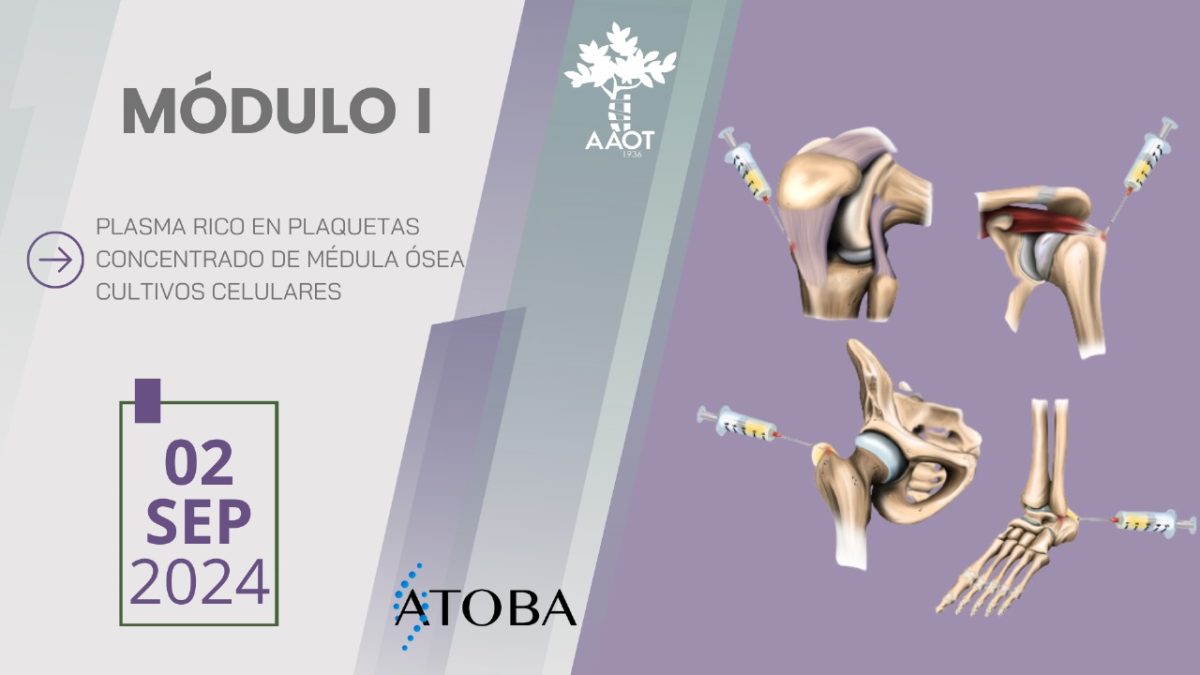MÓDULO 1 – 02/09/24