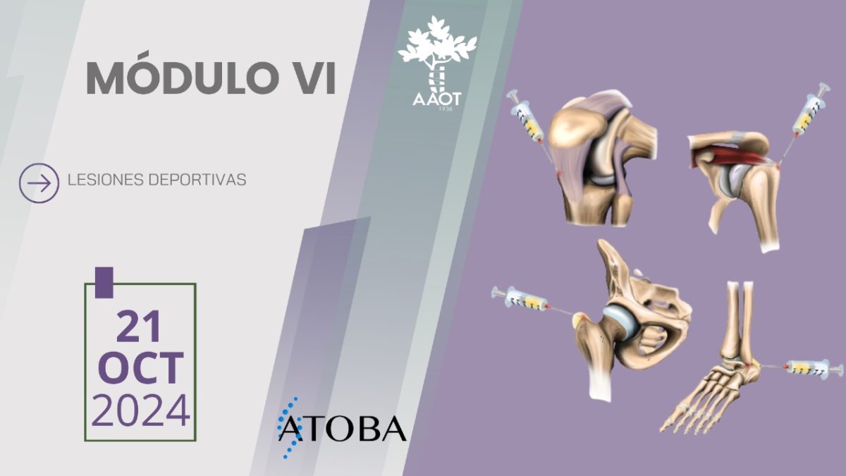 MÓDULO 6 – 21/10/24