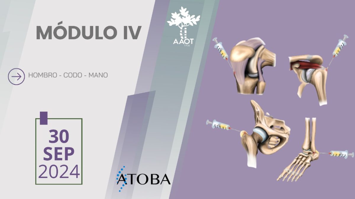 MÓDULO 4 –  30/09/24